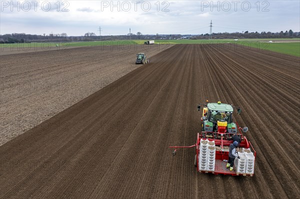Early potatoes are laid in the soil of the field with a planting machine, tractor with roundabout
