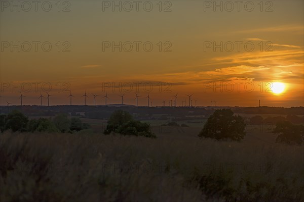 Wind turbines in the evening light, Schönberg, Mecklenburg-Vorpommern, Germany, Europe