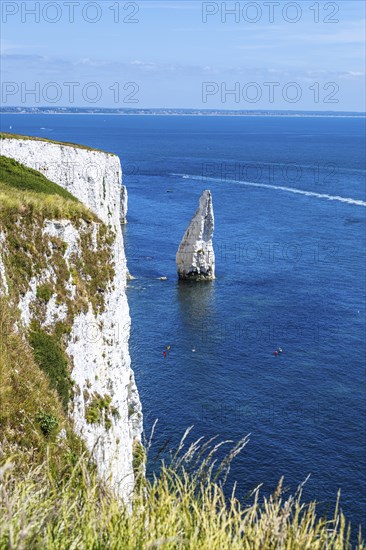 White Cliffs of Old Harry Rocks Jurassic Coast, Dorset Coast, Poole, England, United Kingdom,