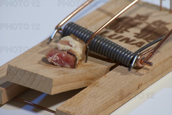 Mousetrap with bacon, Hamburg, Hamburg, Federal Republic of Germany