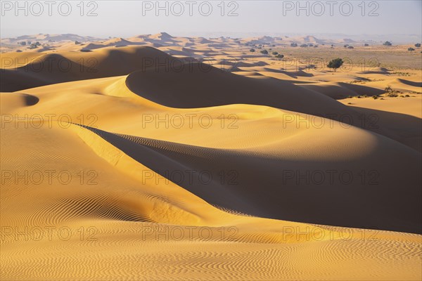 Sand dunes in the desert, near Duqm, Oman, Asia