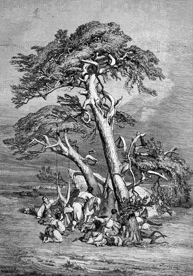 Prayer in the steppe. Travelling group in the Orient resting under a pine tree, Historical,