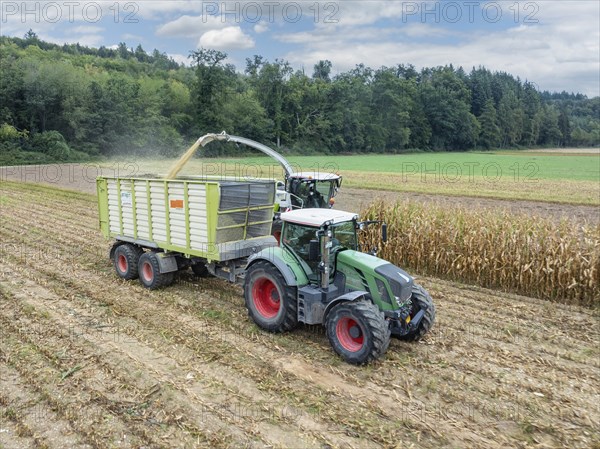 A Fendt 826 tractor with silage transport wagon drives next to a forage harvester to load chopped