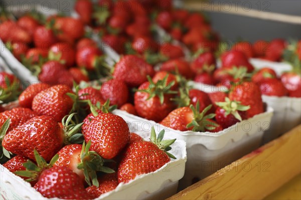Fresh strawberries in the shop