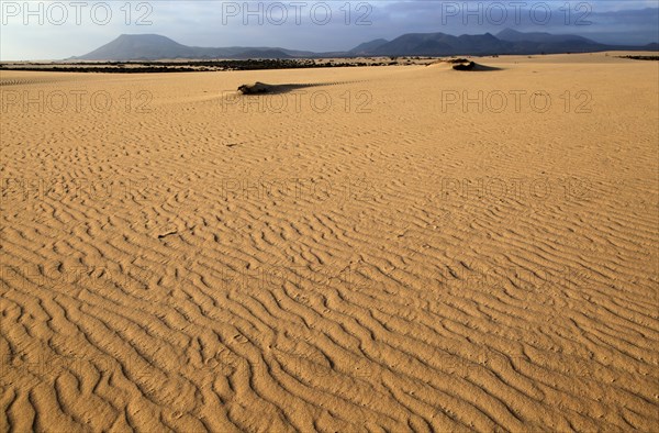 Sand dunes at Las Dunas natural park, Corralejo, Fuerteventura, Canary Islands, Spain, Europe