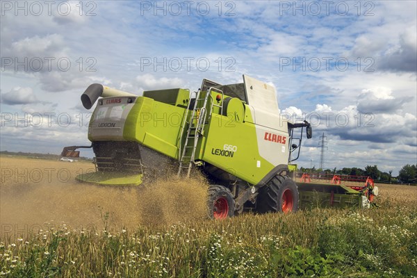 Grain harvest in the Rhein-Pfalz district near Mutterstadt