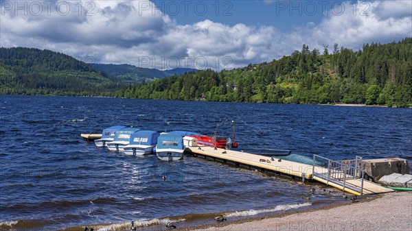 Landscape, nature, lake, Titisee, boats, boat hire, Black Forest, Germany, Europe
