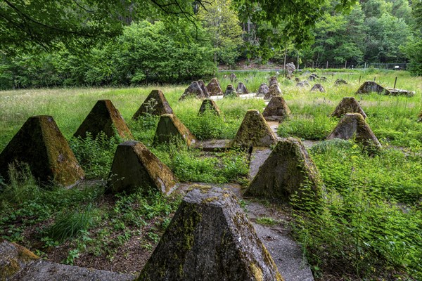 Remains of the Westwall across the Grölisbach, near Roetgen, 100 metre long anti-tank barrier