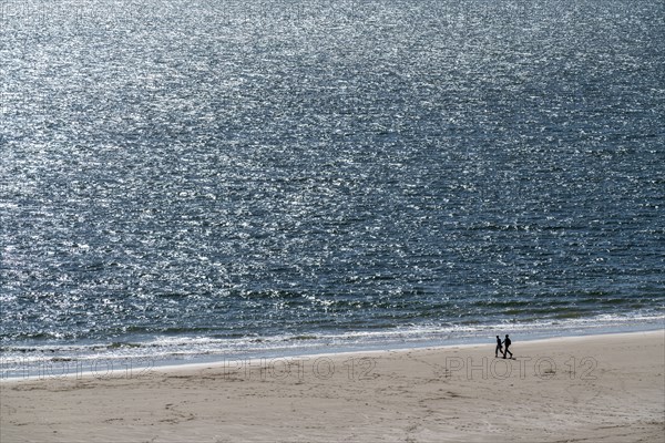 Strollers on the beach near Zoutelande Province of Zeeland, Walcheren Peninsula, Netherlands