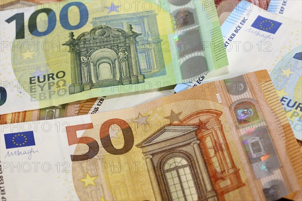 Euro notes (euro banknotes)
