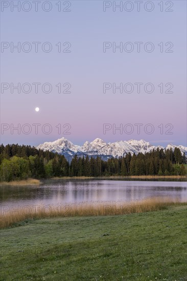 Hegratsrieder See near Füssen, Allgäu Alps, snow, moon, dawn, Allgäu, Bavaria, Germany, Europe