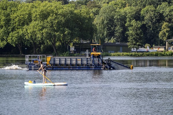 Mowing boat Nimmersatt, of the Ruhrverband, tries to keep the green plant carpet on the Lake