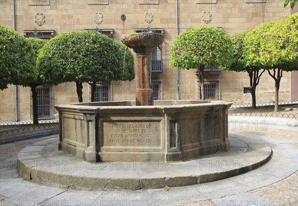 Fuente del Cabildo historic water fountain Plasencia, Caceres province, Extremadura, Spain, Europe