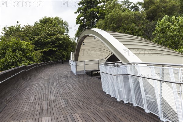 Modern wooden bridge over the jungle. singapore