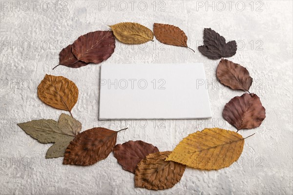 Wreath circle composition with yellow and brown autumn leaves and white business card, round frame