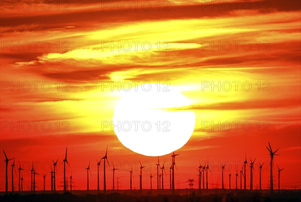 Sunset at a wind farm in Nauen in Brandenburg, 23/08/2022