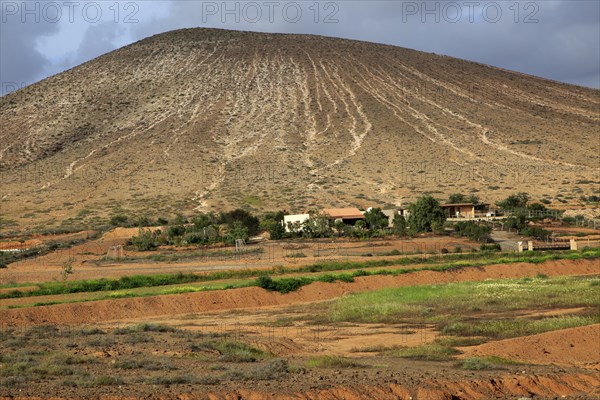 Farm at base of old volcano cone, near Tetir, Fuerteventura, Canary Islands, Spain, Europe