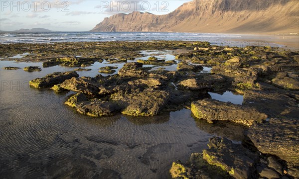 Lanzarote, Canary islands, SpainLate afternoon light on beach and cliffs La Caleta de Famara,