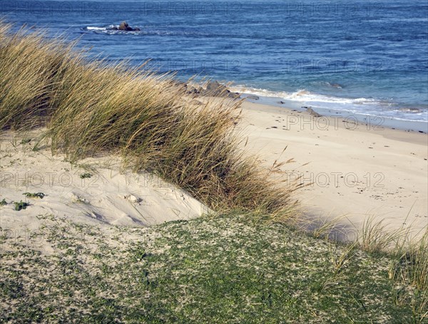 Sandy beach Oyster Point, Island of Herm, Channel Islands, Great Britain