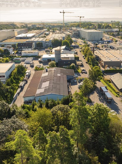 Various buildings of an industrial area, scattered cranes and trees along the streets, sunny and