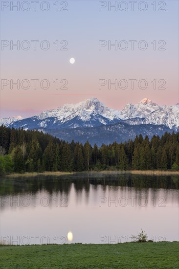 Hegratsrieder See near Füssen, Allgäu Alps, snow, moon, dawn, Allgäu, Bavaria, Germany, Europe