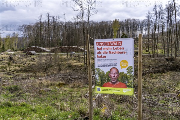 Information poster on forest dieback in the Arnsberg Forest nature park Park, over 70 per cent of
