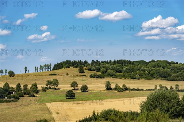 Landscape in the Volcanic Eifel, near Daun, Eifel, Rhineland-Palatinate, Germany, Europe
