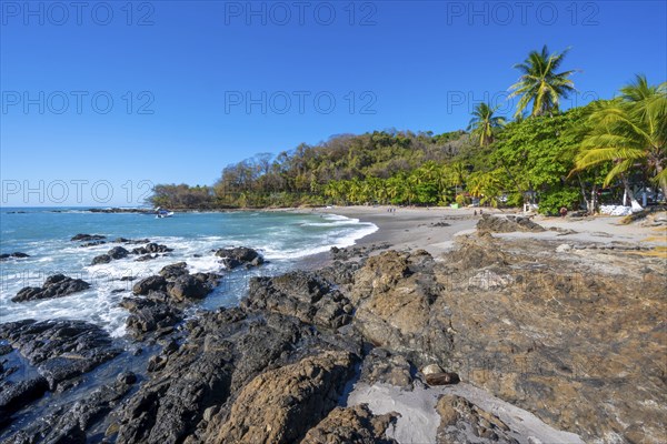 Tropical sandy beach with palm trees, Playa Montezuma, Montezuma, Nicoya Peninsula, Puntarenas