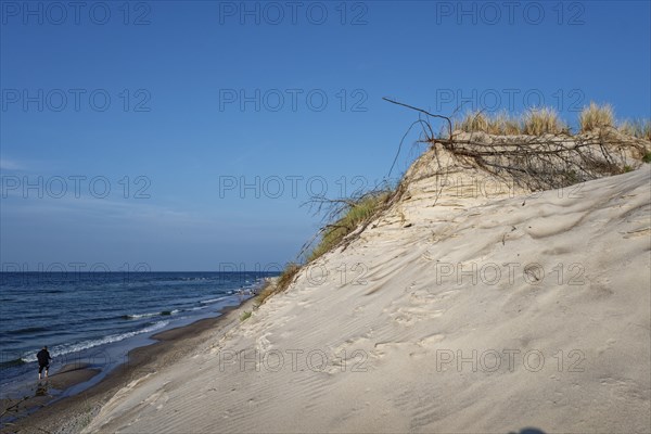 Sandy beach beach and dunes in the Slowinski National Park, Slowinski Park Narodowy, on the Baltic
