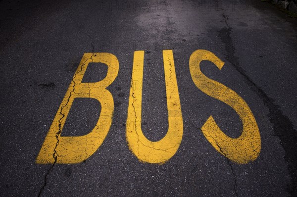 Bus lane, marking on road reserved lane for bus, traffic, Schenna, Scena, South Tyrol, Autonomous