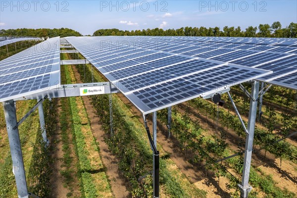 Agri-photovoltaic test plant, an apple orchard with two different systems of PV modules was roofed