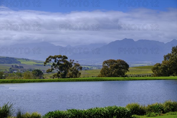 Kleine Zalze Wine Estate, Stellenbosch, Western Cape, South Africa, Africa