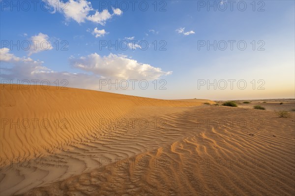 Sand dunes, Wahiba Sands desert, Sharqiya sand, Oman, Asia