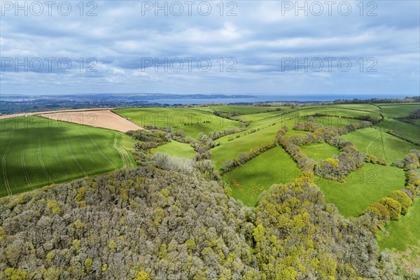 Forest, Farms and Farms over Long Wood and River Dart from a drone, Dartmouth, Kingswear, Devon,