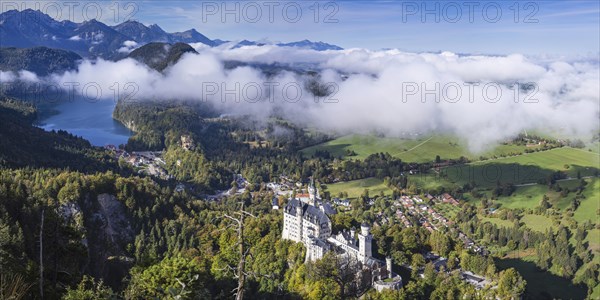 Neuschwanstein Castle and the Alpsee, near Hohenschwangau, Romantic Road, Ostallgäu, Bavaria,