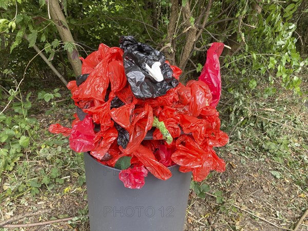 Overflowing rubbish bin, with lots of rubbish, overfilled with dog faeces bags, on a wall path in