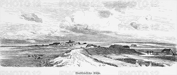 Coastal landscape in North Friesland, North Sea, Schleswig-Holstein, Germany, dyke, dyke foreland,