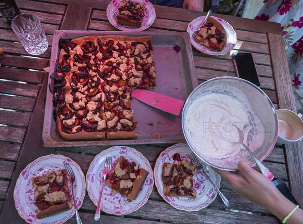 Fresh plum cake from the baking tray. Baden-Württemberg, Germany, Europe