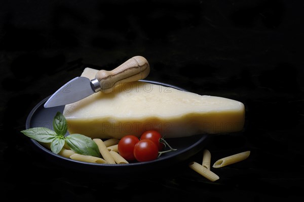 A piece of Parmesan cheese with cheese knife, pasta and tomatoes, Italy, Europe