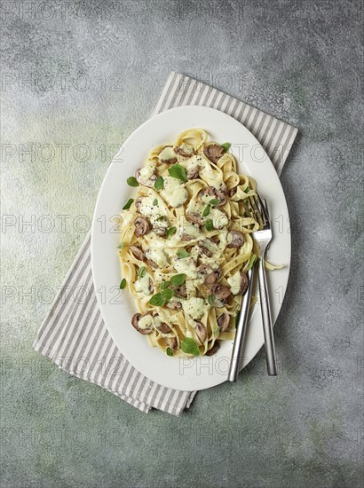 Fettuccine with champignons, basil, in cream sauce, homemade, no people