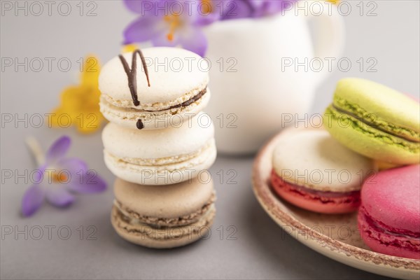 Multicolored macaroons with spring snowdrop crocus flowers on gray pastel background. side view,