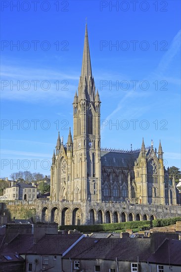 Saint Colman cathedral church, Cobh, County Cork, Ireland, Irish Republic, Europe