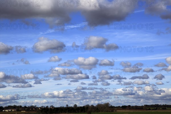 Cumulus clouds in blue sky over Bawdsey and Alderton, Suffolk, England, UK