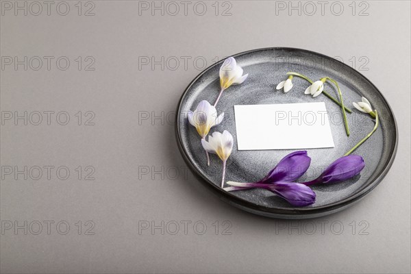 White paper invitation card, mockup with crocus and galanthus flowers on ceramic plate and gray