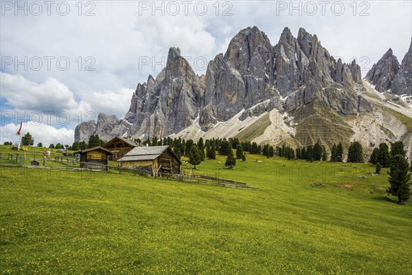 Gschnagenhardt Alm, Geislerspitzen, Villnöss Valley, Sass Rigais, Dolomites, South Tyrol, Italy,