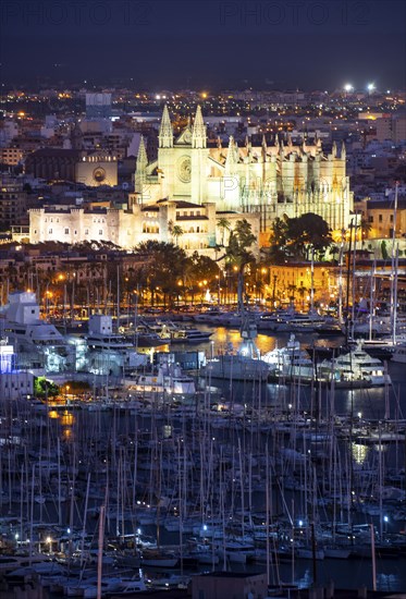 Panorama of Palma de Majorca, Bay of Palma, with the marina and the Cathedral of St Mary, Balearic