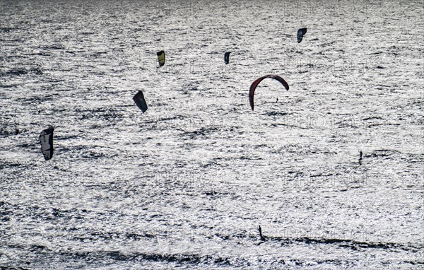 Kitesurfers and windsurfers in strong winds on the beach of Scheveningen, The Hague, Netherlands