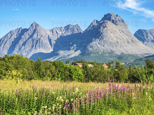 Farm houses south of Svensby at the Kjosenfjord, steep mountain peaks, Lyngen peninsula, Norway,