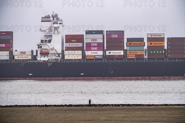Thick fog in winter, hanging over the mouth of the Elbe into the North Sea, container ship NYK