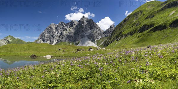 Eissee, Oytal, behind it Großer Wilder, 2379m, Hochvogel- and Rosszahngruppe, Allgäu Alps, Allgäu,